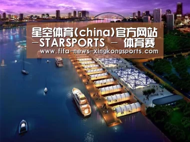 案例展示八