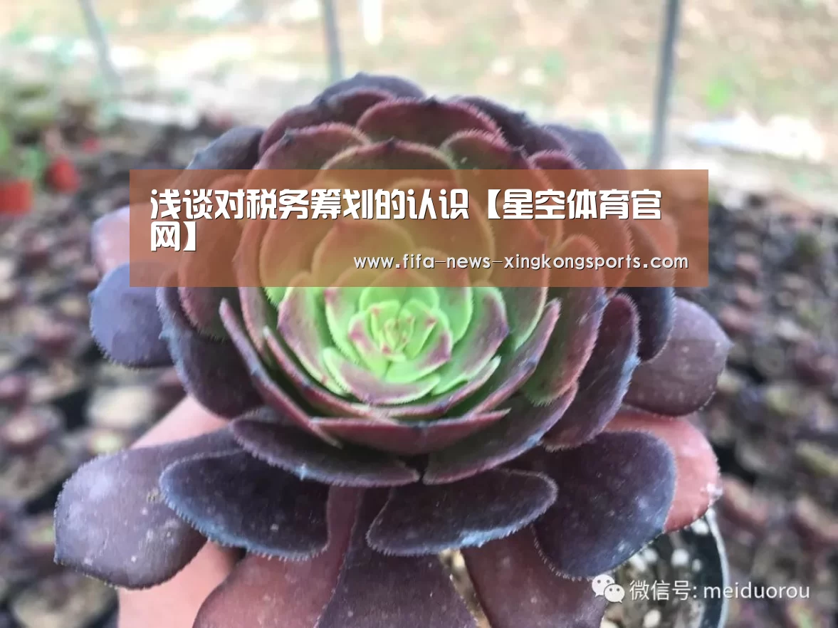 浅谈对税务筹划的认识【星空体育官网】(图1) 星空体育