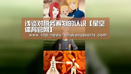 浅谈对税务筹划的认识【星空体育官网】(图2) 星空体育中国