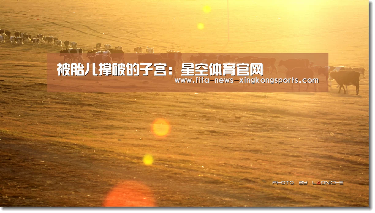 星空体育官网入口