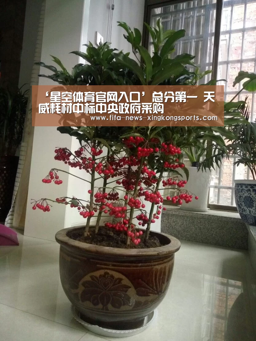 星空体育官网入口