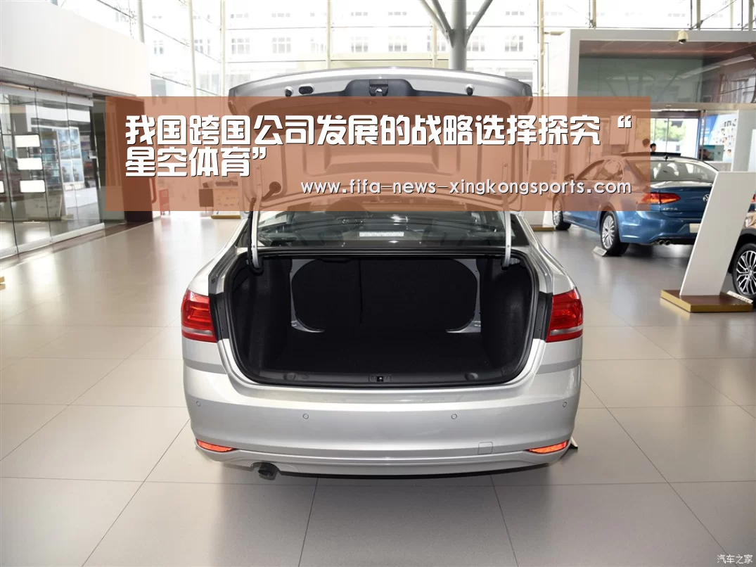 我国跨国公司发展的战略选择探究“星空体育”(图2) 星空体育官网