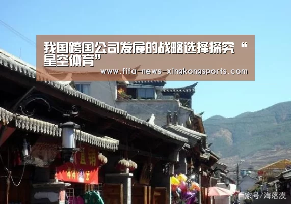 我国跨国公司发展的战略选择探究“星空体育”(图4) 星空体育官网入口