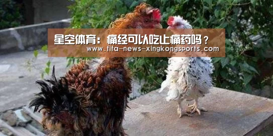 星空体育官网入口